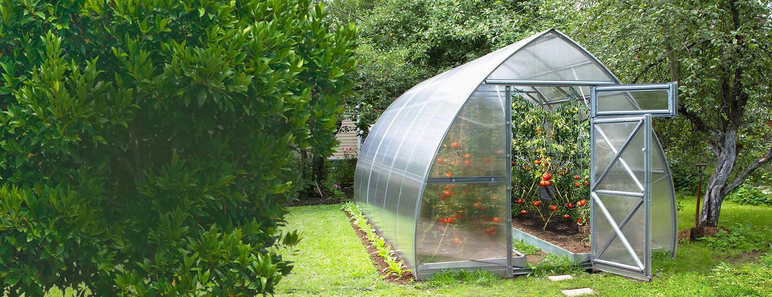 Master Your Harvest Year-Round